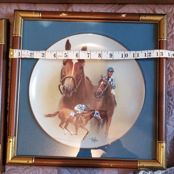 Fred Stone limited edition framed plate - Picture 8 of 8
